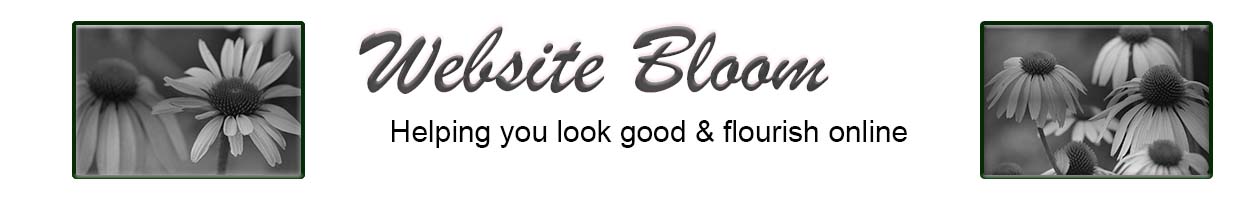 WEBSITE CONSULTANT